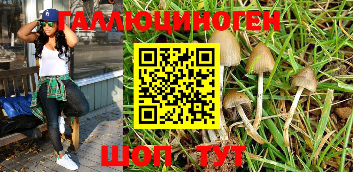 Галлюциногенные грибы Magic Shrooms Свободный